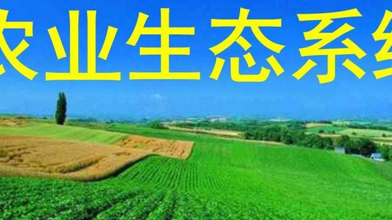 休闲农业加盟，如何打造成功案例？**