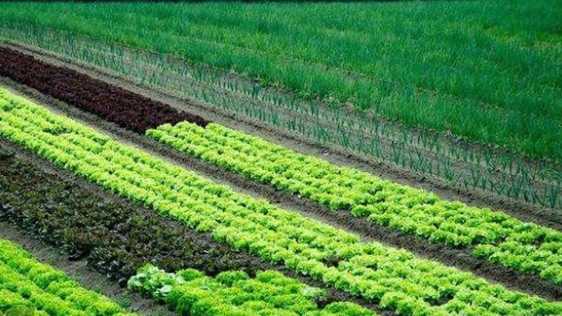 保温被规格厚度5厘米10厘米