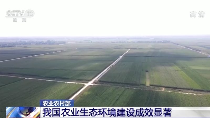 无土种植架材质选择：如何规避误区，提升种植效益