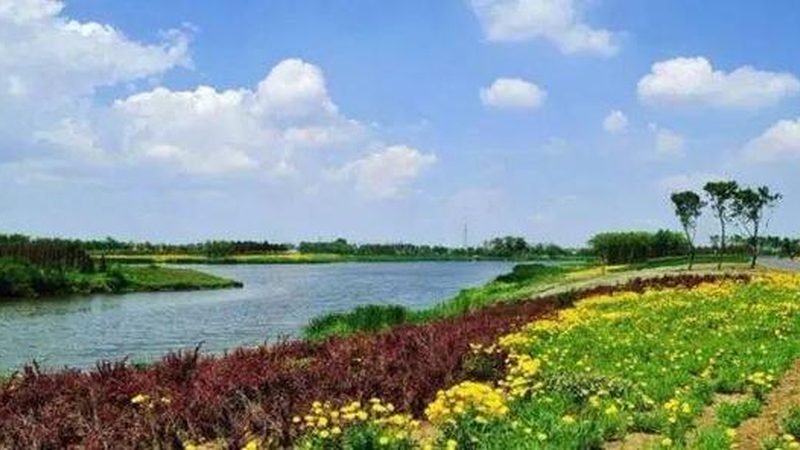 广州水果批发市场价格波动解析**