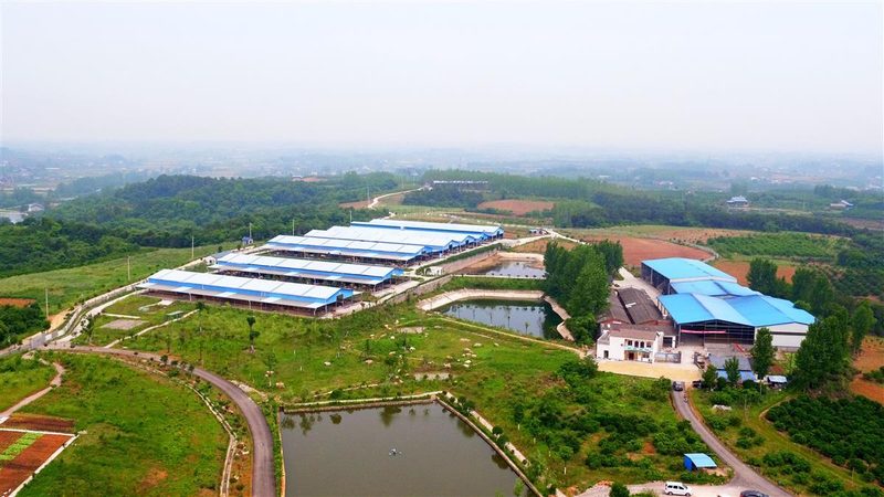 采摘园选址：如何规避误区，选择靠谱公司**