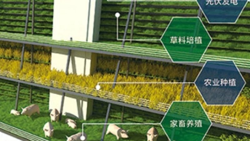 水肥一体化智能控制器：农业灌溉的智慧之选