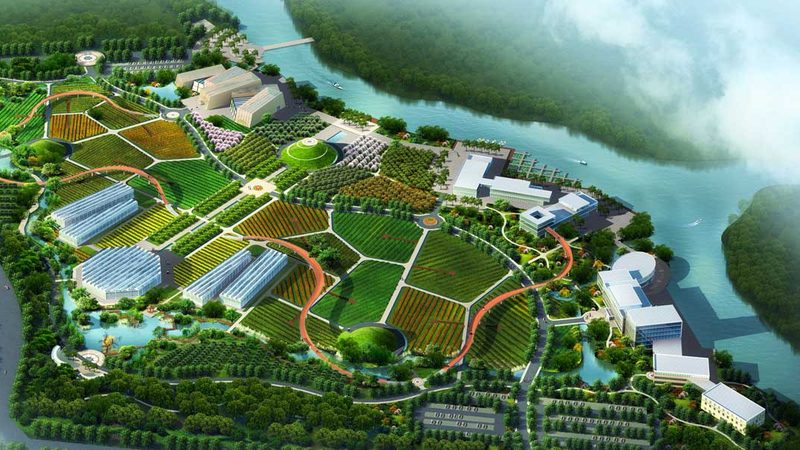 阳台上的绿色田园：小型种植项目推荐解析**