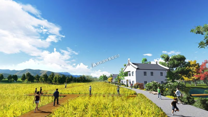 智慧农业种植系统：如何选择最适合你的解决方案