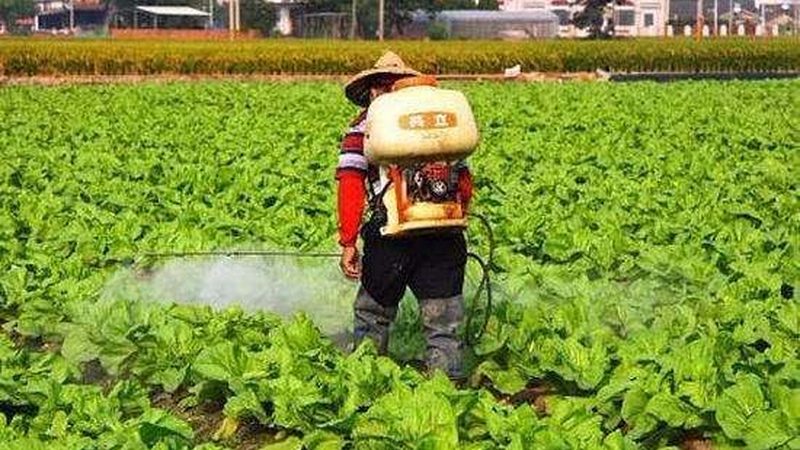 社区生鲜店选货材质揭秘：从源头保障食品安全