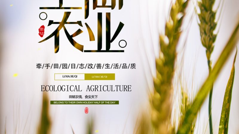 企业食堂配送服务流程：确保食品安全与效率的五大步骤